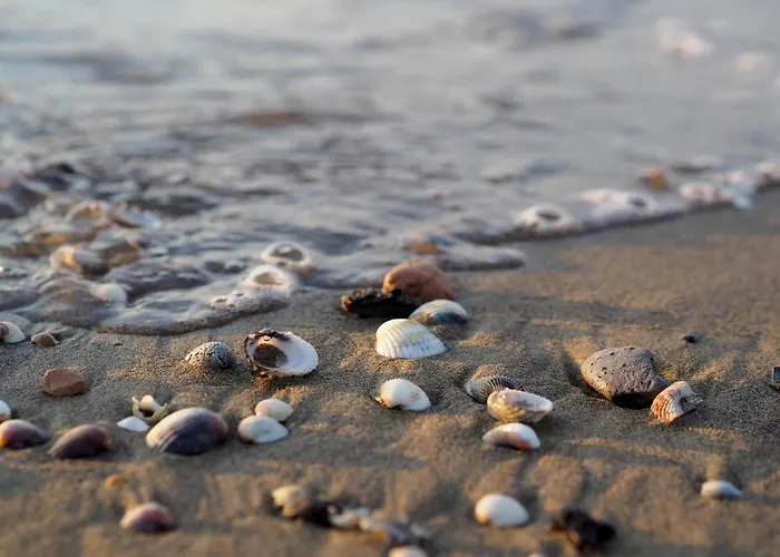 Cozy With A Balcony With Sea Side View بيبيوني
