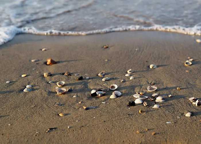 Cozy With A Balcony With Sea Side View ビビオーネ